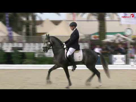 Hábil da broa CDI Balearen Tour 2016