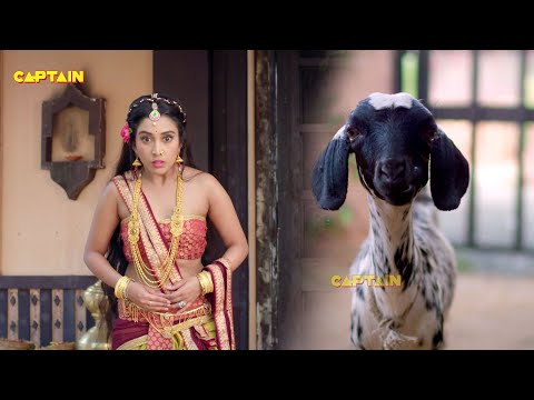 बोलने वाली बकरी - तेनाली रामा - EP -46, 47, 48