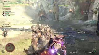 モンスターハンターわいるず