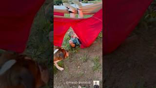Big fails 😂😂😂 #funny #failgag #comedy #hilariousfails