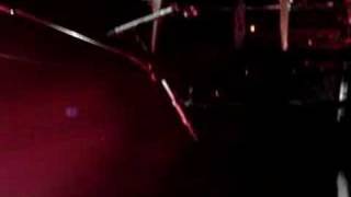 Shannon Wright - Black little stray