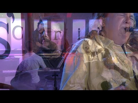 Sarah Hanahan Quartet - John Neely - Beautiful People