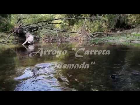 # 15 Propuesta "Arroyo Carreta Quemada". Colonia Escolar de Raigón.