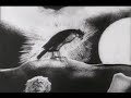 Boston Spaceships - John The Dwarf Wants To Become An Angel [PCB Vanderbeek video]
