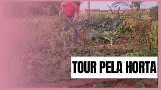 Um LINDO TOUR pela HORTA!