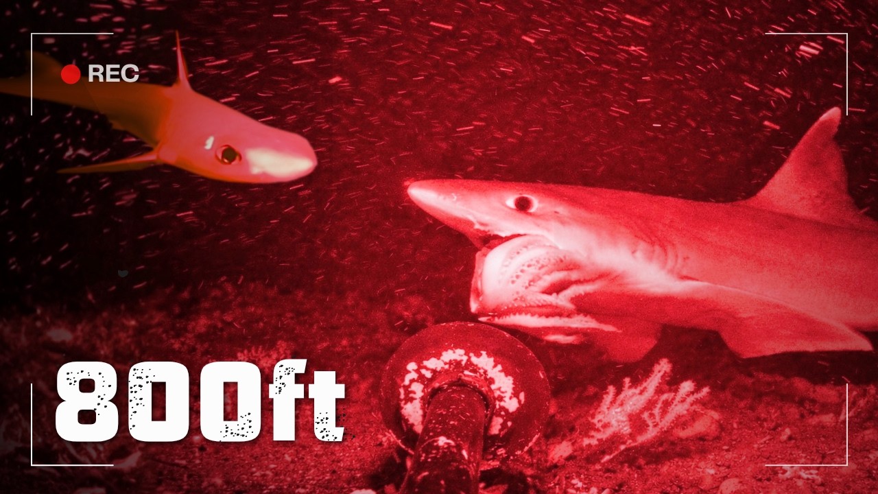I Dropped a Night Vision Camera into the Deep Sea (No AI) - YouTube