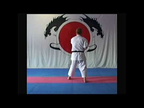 Shito-Ryu Kihon Kata