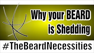 Why Your Beard Is Shedding | #TheBeardnecessities | Ep 13