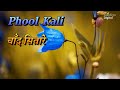 Phool Kali Chand Krantiveer Song Romantic  Songs Mamta Kulkarni Atul Agnihotri Udit Naraya