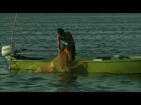TRAILER - THE KNIGHTS OF THE LAGOON - FILM DOCUMENTARY BY WALTER BENCINI