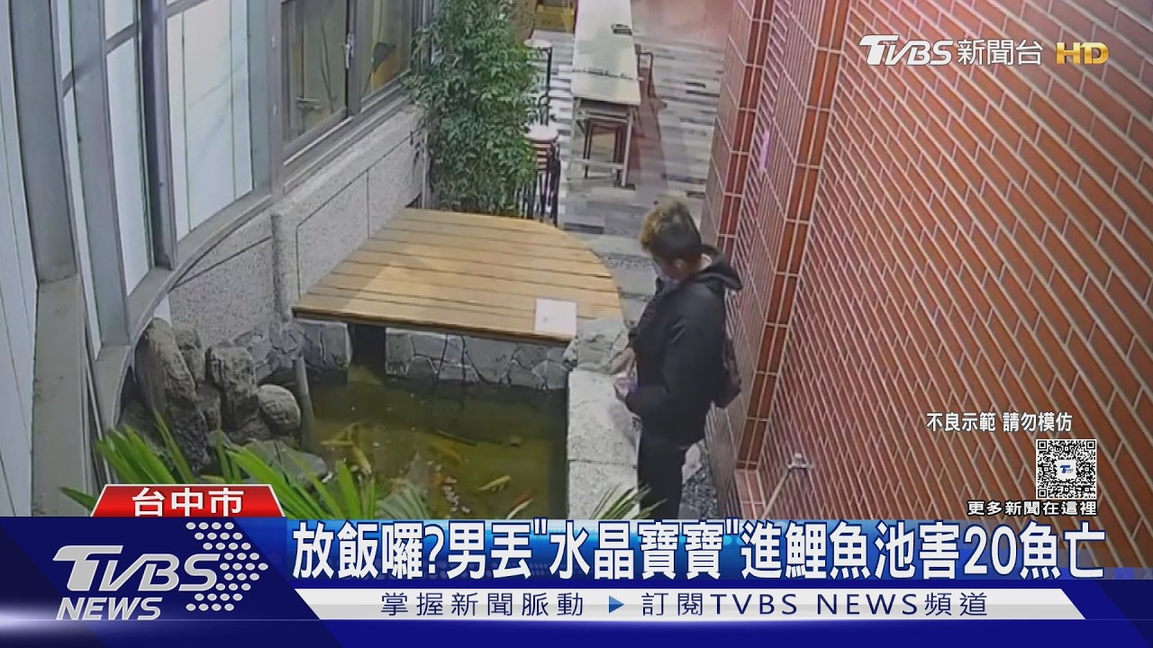 男倒「水晶寶寶」入魚池!20條錦鯉搶食慘死 法官重判結果曝