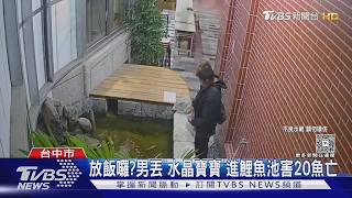 男倒「水晶寶寶」入魚池!20條錦鯉搶食慘死 法官重判結果曝
