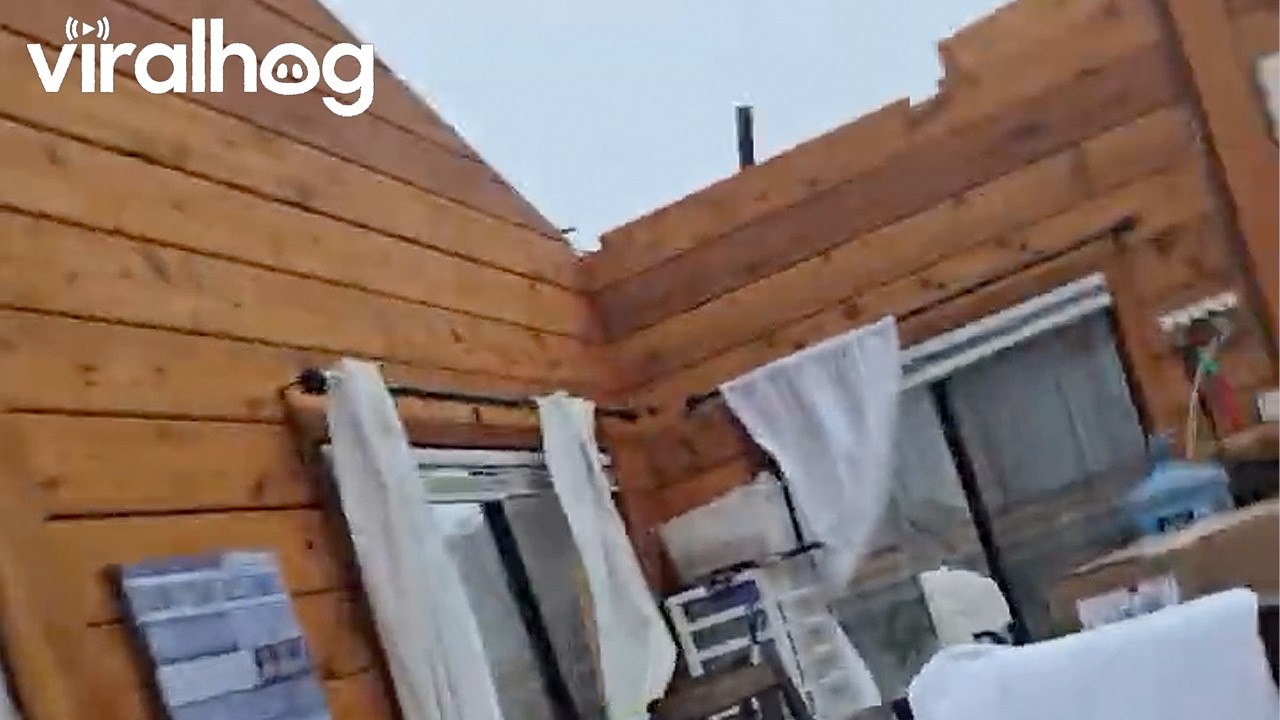 Family Evacuates as Hurricane Lala Blows Off Entire Roof || ViralHog