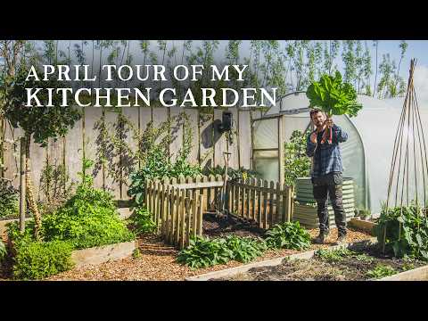 Mid-Spring Kitchen Garden Tour: 2026 Permaculture Plans