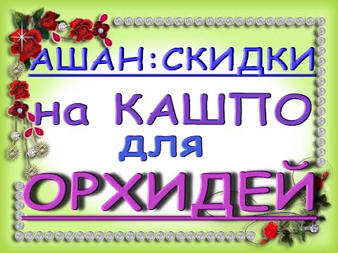 Ашан:СКИДКИ на КАШПО (от 49р.!) для ОРХИДЕЙ!14.05.21,ТЦ "Космопорт",Самара.