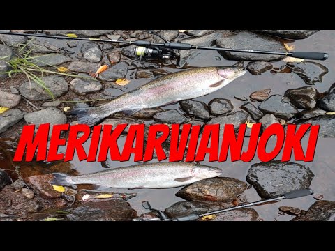 Kirjolohta | Merikarvianjoki | Jasu | Spintube | Kalastus