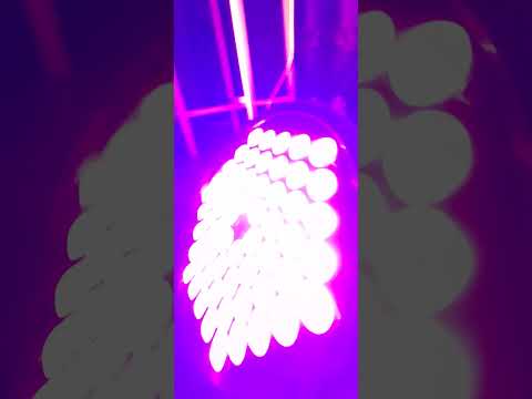 FORRÓ 💃🕺 - "rave" Dança de Salão - Zé do Lago