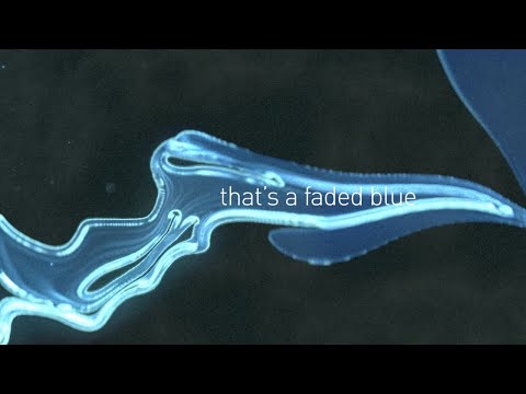 Video thumbnail for Faded Blue