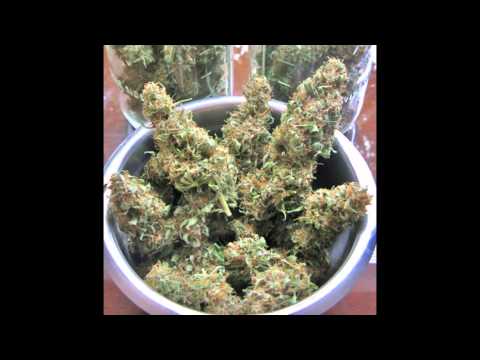 Proceente feat. Entero, Kliford, Green, Flint - Technologia drzewa (DZŻMC Mixtape)