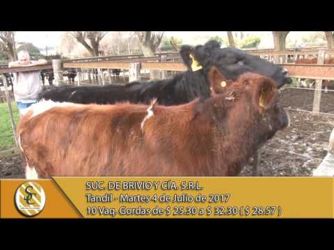 04-07-17 Venta de Vaq. y Nov. Gordos - Suc. de Brivio y Cía. S.R.L. - Tandil