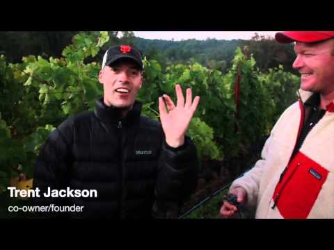 JAX Vineyards - Harvest 2011 - Promo Video