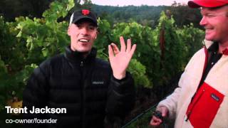 JAX Vineyards - Harvest 2011 - Promo Video
