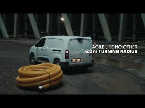 The Ant - New Fiat Professional Commercial​