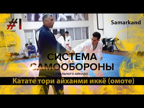Система самообороны Реального Айкидо. Программа на желтый пояс #1