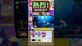 🐦ぺっちゃんの熱烈なファン！？w【#切り抜き #ヨッシー 】#ニンテン鳥 #shorts