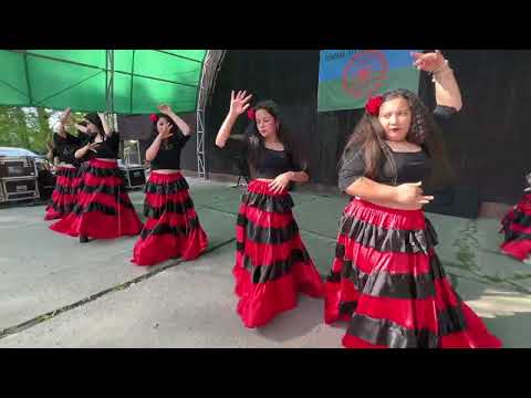 Romske kulturne podujatie