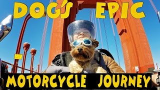 Canada to California- Solo female and her dog's Epic motorcycle journey