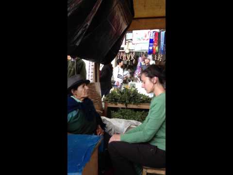 Shaman Ritaul Part 2, Ecuador