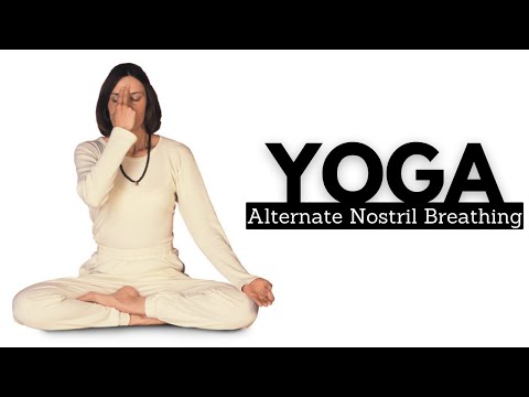 All About Allergy Shots