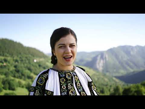 Ina Todoran - ROSTUL OMULUI IN LUME