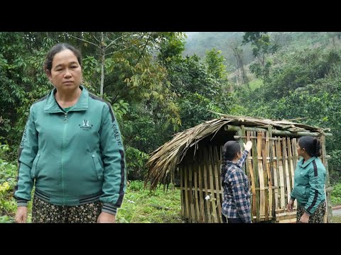 After Tet, Tieu Mi and Ba Tam Build a New Chicken Coop Full of Hope.