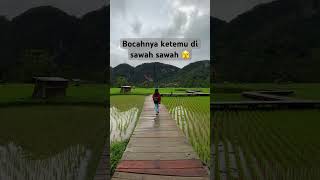 Download lagu Akhirnya bocah ketemu di sawah warga mp3