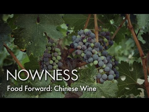 Food Forward: Chinese Wine