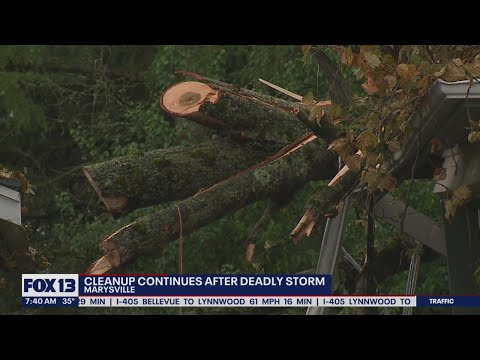 19-year-old killed by tree that fell during windstorm in Marysville | FOX 13 Seattle