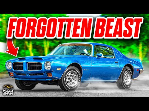 The Most Forgotten Golden Era Performance Car - 1973 Pontiac Firebird