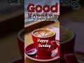 31 December 2023 Happy Sunday Good Morning Wishes Status Video 31december 2023 Good Morning Status