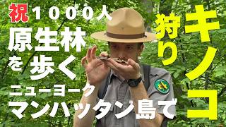 マンハッタン島最北端・原生林が残るインウッドパークで。無料キノコ観察ツアー・NYシティパークレンジャー