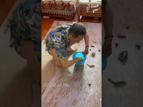 khi tôi cho ông ngoại trải nghiệm du lịch bằng ý niệm #haihuoc