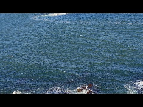 Beautiful Buceo Beach in South America | Playa Buceo Montevideo Uruguay Travel 🌊 !#beach#Buceobeach