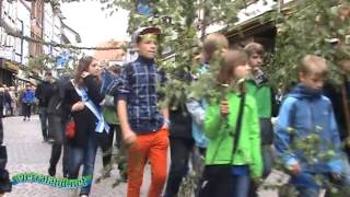 preview picture of video 'Werraland.net Vor Ort - Maienzug Johannisfest Eschwege 2013'