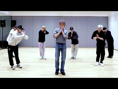 [NCT U - Make A Wish (Birthday Song)] dance practice mirrored