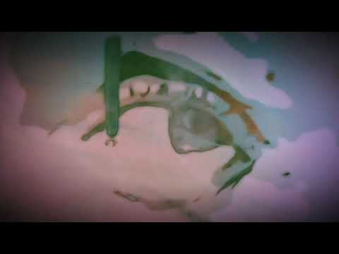 Roedelius & Arnold Kasar - Lifeline