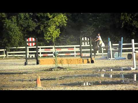 Rock Solid; jumper packer for sale