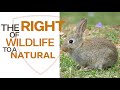 Animal Legal Defense Fund
