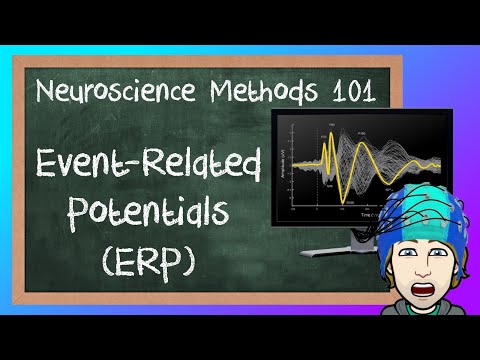 Event-Related Potentials (ERP) explained! | Neuroscience Methods 101