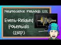 Event Related Potentials ERP Explained Neuroscience Methods 101